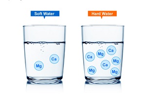 Chất lượng nước ảnh hưởng đến dung dịch thủy canh