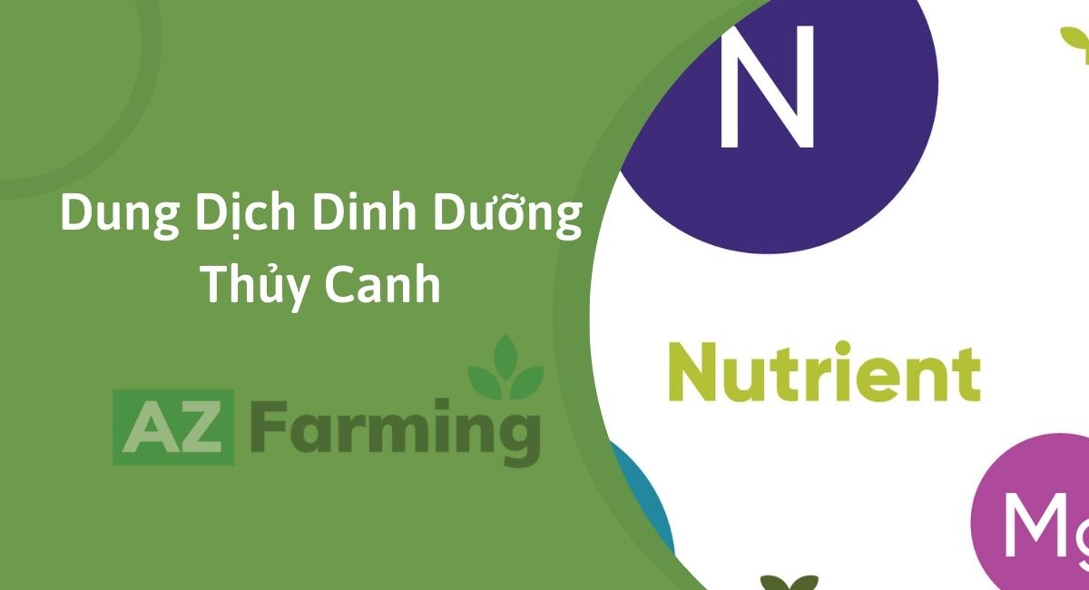 Dung dịch thủy canh